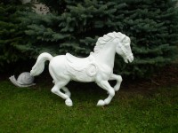 /album/fotogaleria/pa070085-jpg/